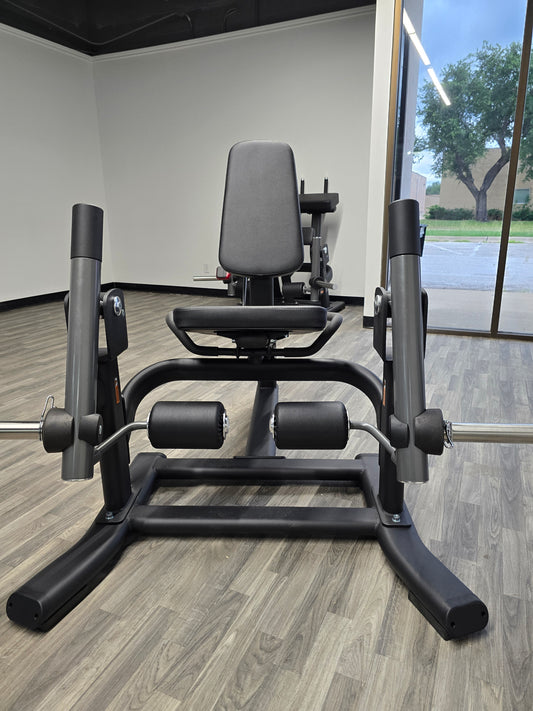 BLAZZED LEG EXTENSION