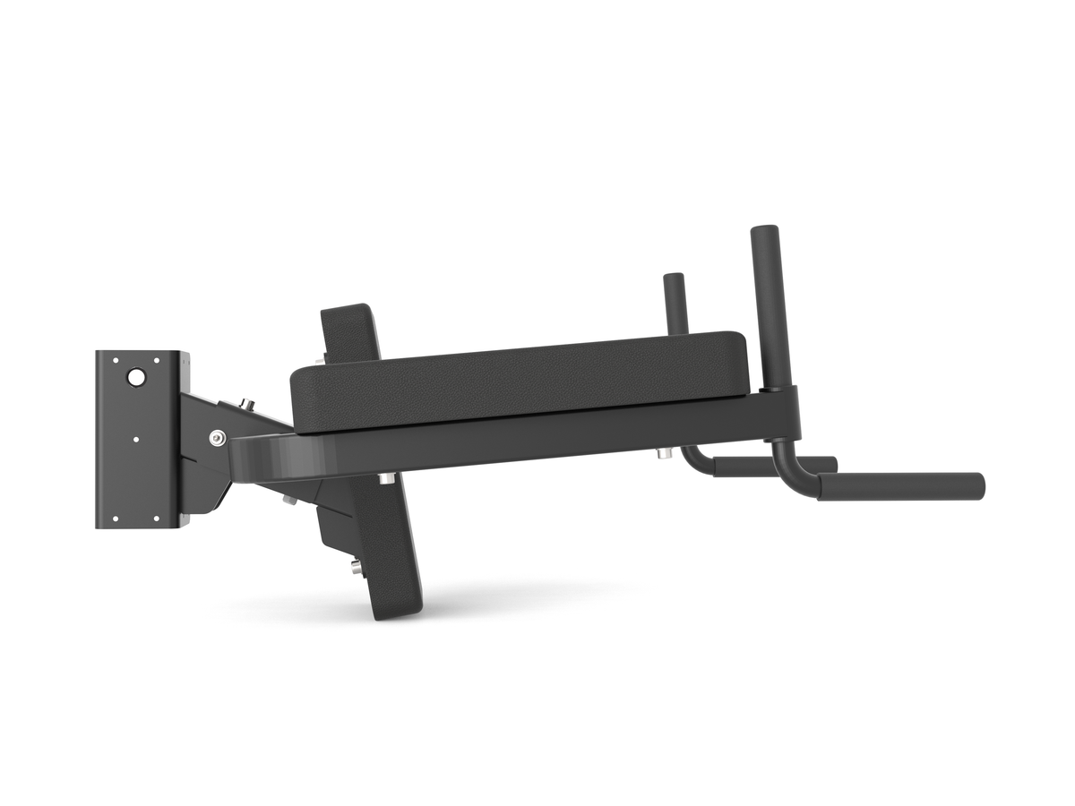 HD Captains Chair Abs/Dips (Mid August Pre-Order) – Blazzed