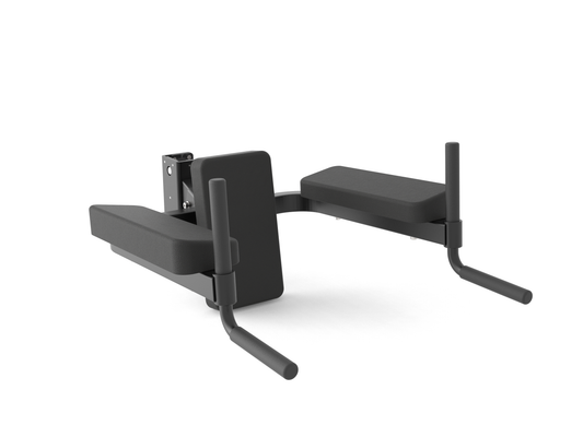 HD Captains Chair Abs/Dips (July Pre-Order)